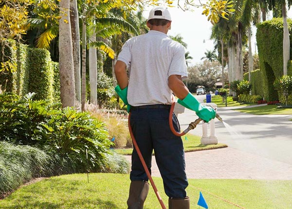 About Surrey ND Pest Control